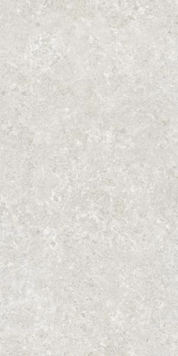 Керамогранит 120x60 9мм Verity Pearl Mt Rect. матовая Stn Ceramica