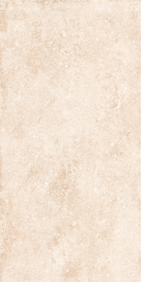 Керамогранит 120x60 9.5мм LIGHT 532-VRH2BG Verbier матовая комбинированный Eurotile