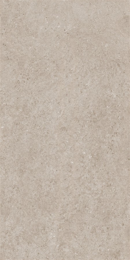 Керамогранит 120x60 9.5мм беж 421 Аляска матовая черный Eurotile