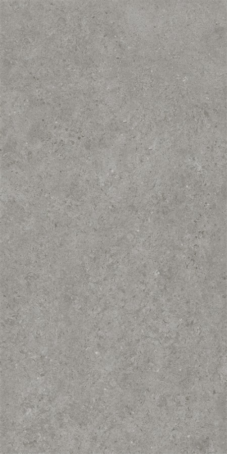 Керамогранит 120x60 9.5мм грэй 422 Аляска матовая черный Eurotile