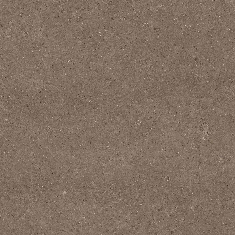 Керамогранит универсальная 60x60 20мм Геоформ табачный матовый 60x60x2 матовая Realistik