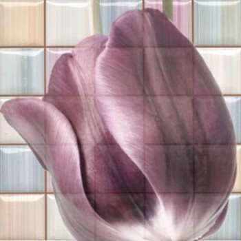 Керамический декор RCS000061 Magik Decorado Frame A Mix 32x32 для стен глянцевая Rocersa