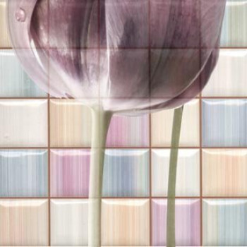 Керамический декор RCS000062 Magik Decorado Frame С Mix 32x32 для стен глянцевая Rocersa