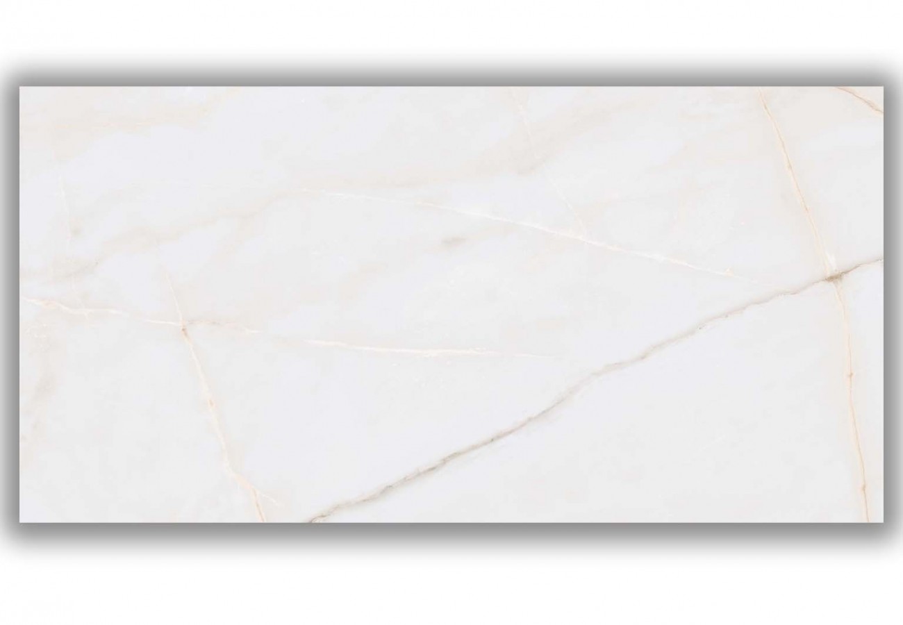 Керамогранит настенная 120x60 11мм Эссенца PW R матовая Undefasa