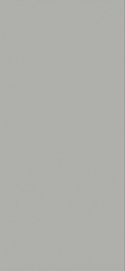 Керамогранит 120x60 Ева ГРЕЙ КАРВИНГ матовая, структурированная, карвинг серый Belleza