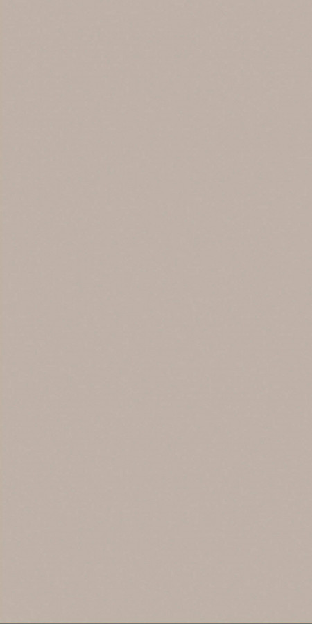 Керамогранит 120x60 Eva PEARL CARVING матовая, структурированная, карвинг темно-бежевый Belleza