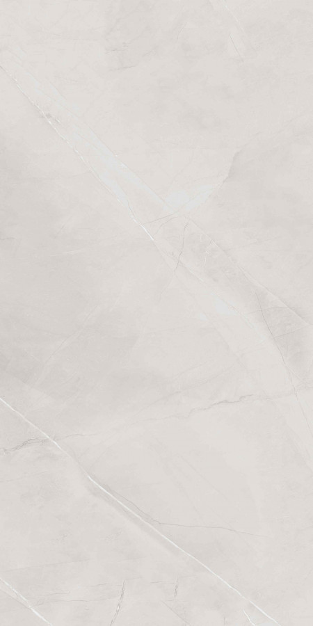 Керамогранит 120x60 Armani HARBOR SILVER GLOSSY глянцевая, полированная светло-серый Belleza