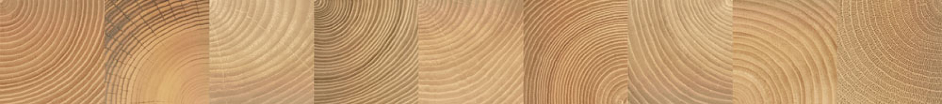 Плитка 75x8 Шиен бордюр 6Д темно-бежевый матовая Керамин