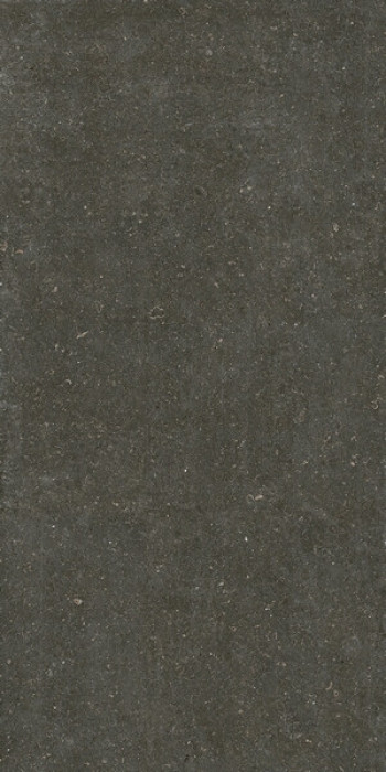 Плитка 240x120 6мм Rinascenza Arena Platino Matte 785585 матовая Casa Dolce Casa