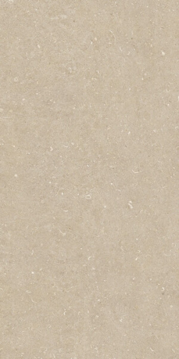 Плитка 120x60 9мм Rinascenza Arena Conchiglia Matte Ret 785481 матовая Casa Dolce Casa