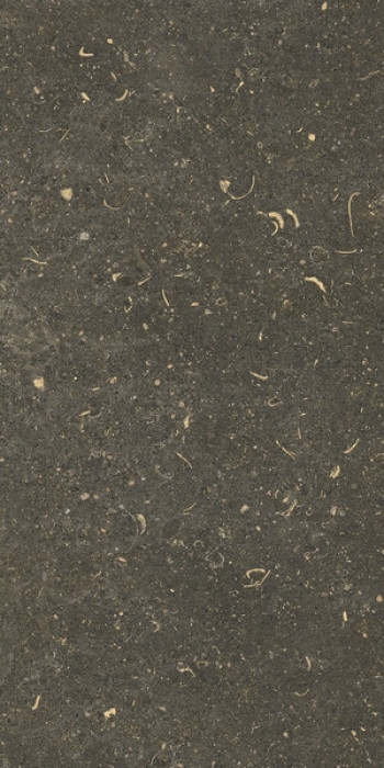 Плитка 60x30 9мм Rinascenza Arena Platino Matte Ret 785491 матовая Casa Dolce Casa