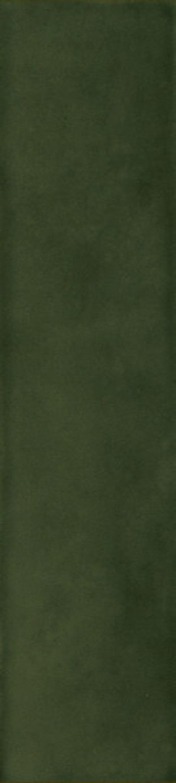 Плитка 23x6 9мм Sensi Colore Bosco Glossy 786013 зеленый краска, штукатурка, однотонная Casa Dolce Casa