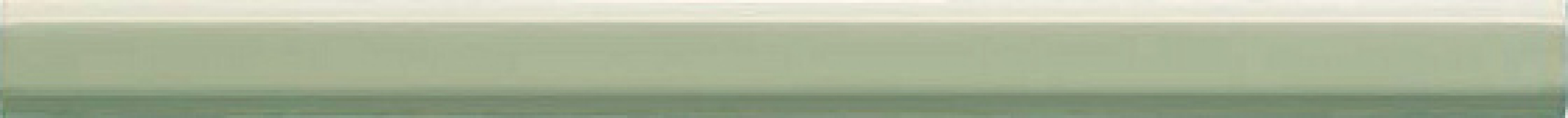 Плитка бордюр 26x2 Essenze Matita Capitello Felce MATC04 Ceramiche Grazia