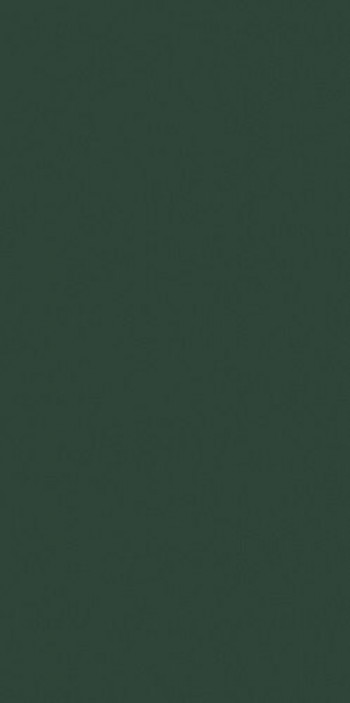 Плитка 240x120 6мм Crayons Cerim Moss Nat 120X240R 767240 матовая зеленый однотонная Cerim