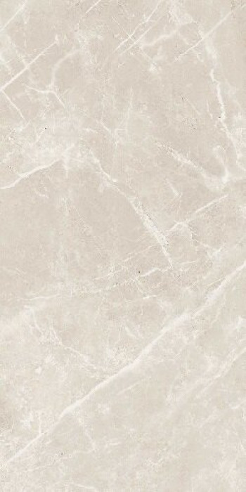 Плитка 120x60 9мм Elemenstwhite Dolomia Nat Ret 766512 Cerim