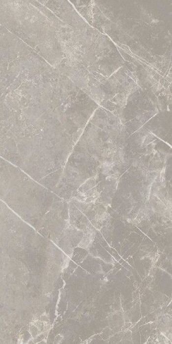 Плитка 120x60 9мм Elemenstgrey Dolomia Nat Ret 766526 Cerim