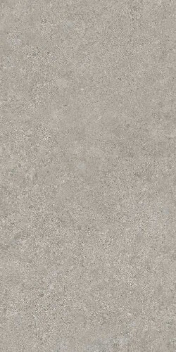 Плитка 120x60 9мм Elemenstgrey Limestone Nat Ret 766522 Cerim