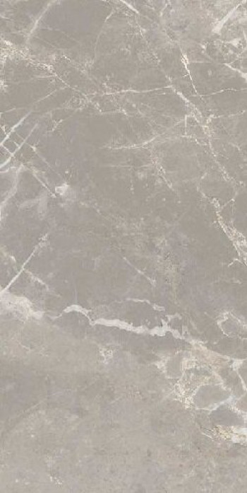 Плитка 60x30 9мм Elemenstgrey Dolomia Luc Ret 766630 серый камень, мрамор Cerim