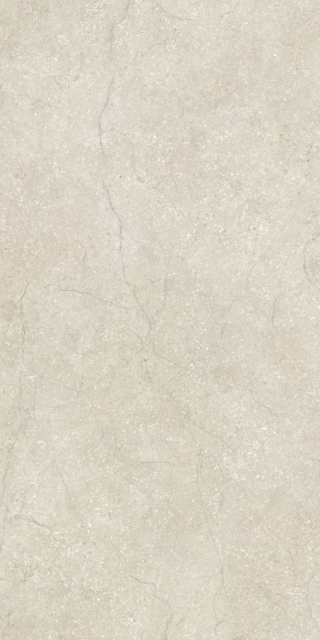 Плитка 120x60 6мм Stone Life Shell Rett 779270 матовая Cerim