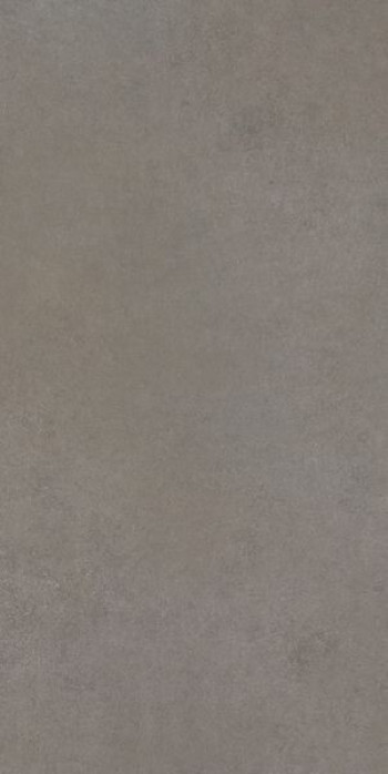 Плитка 120x60 9мм Easy Life Grey Salt Matte Ret 780803 матовая Cerim