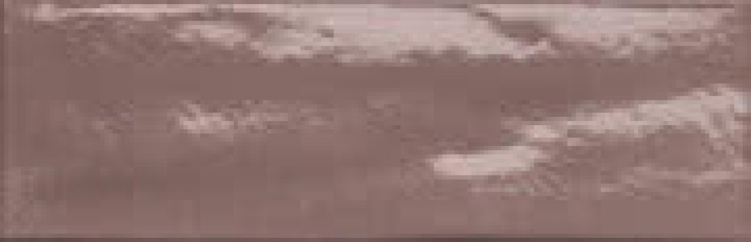 Плитка Manhattan Vintage Fklu коричневый 30x10 9мм Fap Ceramiche