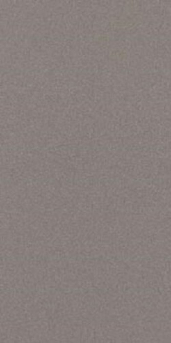 Плитка 120x60 11мм Prtu 12G Rm Prtu12Grm матовая серый Imola