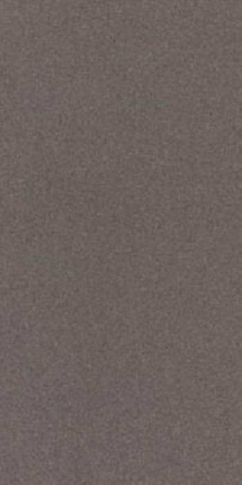 Плитка 120x60 11мм Prtu 12Dg Lv Prtu12Dglv глянцевая темно-серый Imola