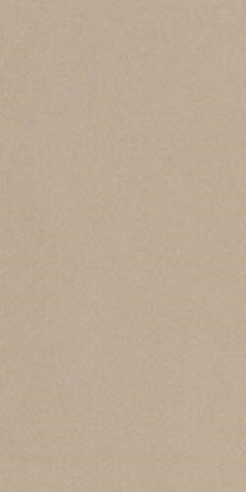 Плитка 120x60 11мм Prtu 12B Rm Prtu12Brm матовая бежевый Imola