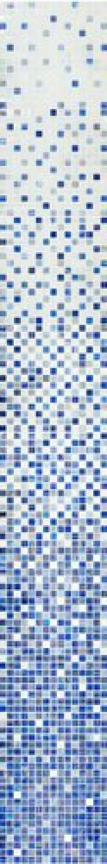 Мозаика 262x33 Blue Satin Растяжка 2020 Растяжка 2020, Стеклянная Blue Satin Irida