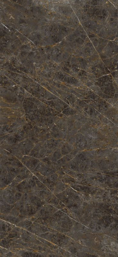 Плитка 278x120 7мм Ae Gol6 278 Lp Aegol6278Lp глянцевая коричневый мрамор Lafaenza