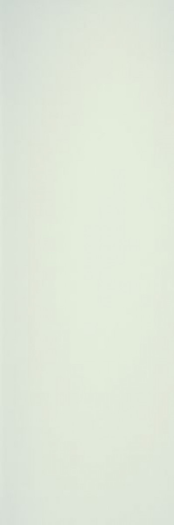 Плитка 300x100 4мм Collection Neve 3+ Lamf000102 Laminam