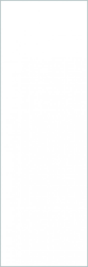 Плитка 300x100 6мм Collection Bianco Assoluto Lucidato 5 Lamff00577 Laminam