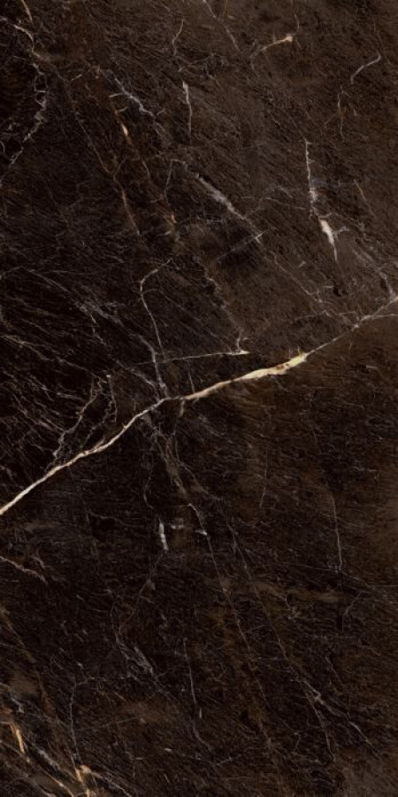 Плитка 120x60 8мм Java Brown Plsh Rcprtl P10854.6 глянцевая коричневый мрамор Yurtbay