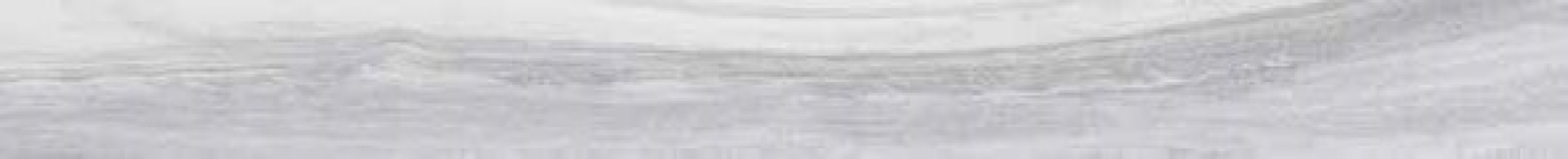 Керамогранит 100x10 Epic Pearl Ret матовая светло-серый дерево Cerdomus