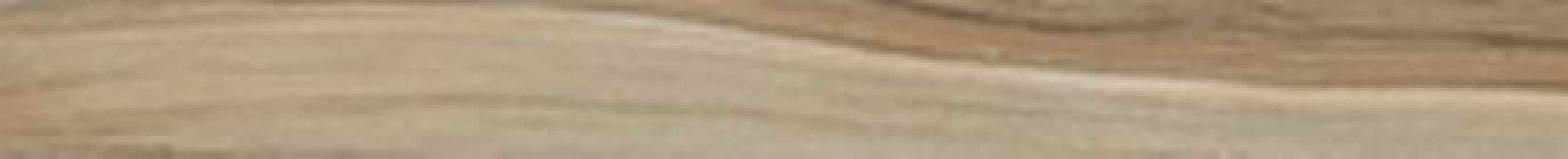 Керамогранит 100x10 Savanna Honey Ret матовая коричневый дерево Cerdomus