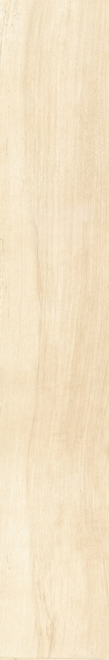 Керамогранит 120x20 Antique Ivory fondi nat.rettificat см матовая светло-бежевый Cerdomus