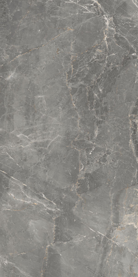 Керамогранит 120x60 Sybil Silver Rt матовая 10мм Cerdomus