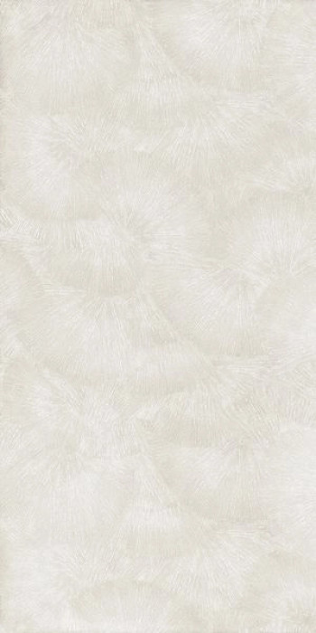 Керамогранит 120x60 9мм Natural Resine Decoro Ventaglio Platino матовая La Fenice
