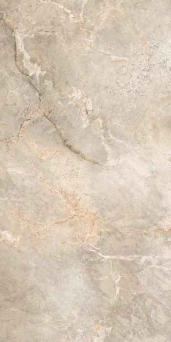 Керамогранит 120x60 8.6мм 6502 Marble Silver Polished полированная Leopard