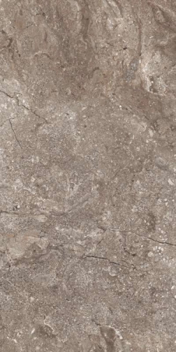 Керамогранит 120x60 8.6мм 6405 Stone Grey Polished полированная Leopard