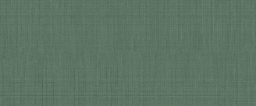 Плитка 120x60 8.5мм I360 Lilysuite Green матовая Marca Corona