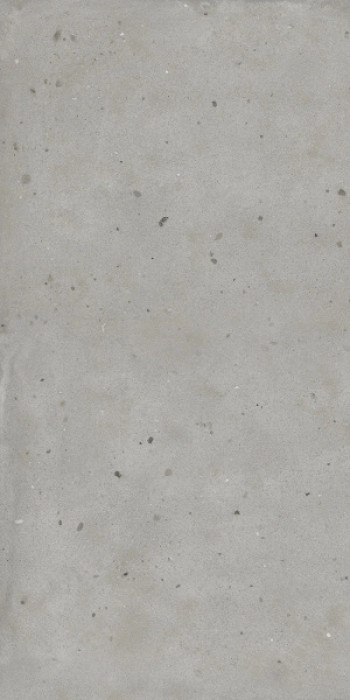 Керамогранит 120x60 9мм 600010001806 Авангард Сильвер Рет Италон