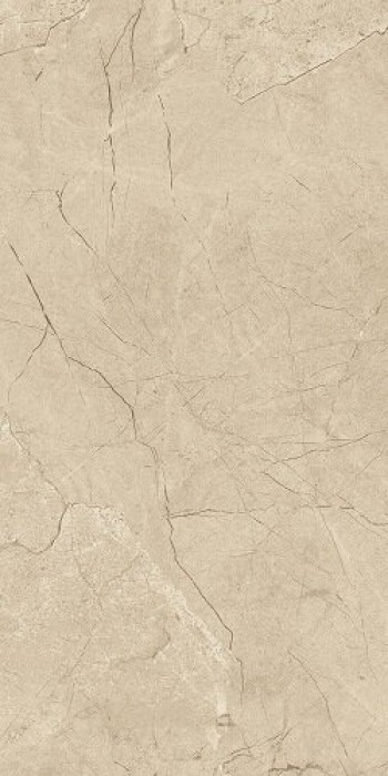 Плитка Charme Extra Arcadia Pat Ret Шарм Экстра Аркадиа Пат Рет 610015000357 Ст610015000357 матовая мрамор 60x30 10мм Италон