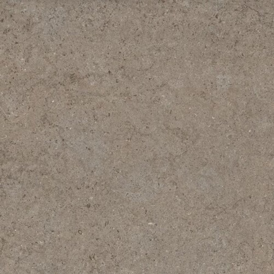 Плитка Discover Desert 60 Ret 610010002735 матовая коричневый камень 60x60 9мм Италон