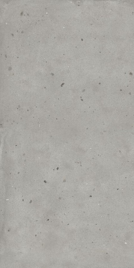 Плитка Avantgarde Silver Ret 610010005694 матовая серый терраццо, бетон, цемент 120x60 9мм Италон