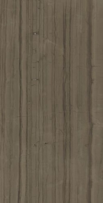 Плитка Charme Advance Elegant Brown Lux 610015000592 глянцевая коричневый камень 160x80 9мм Италон
