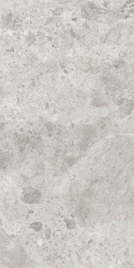 Керамогранит 120x60 Era Bloom. Ash Nat R60X120 матовая 8мм Abk