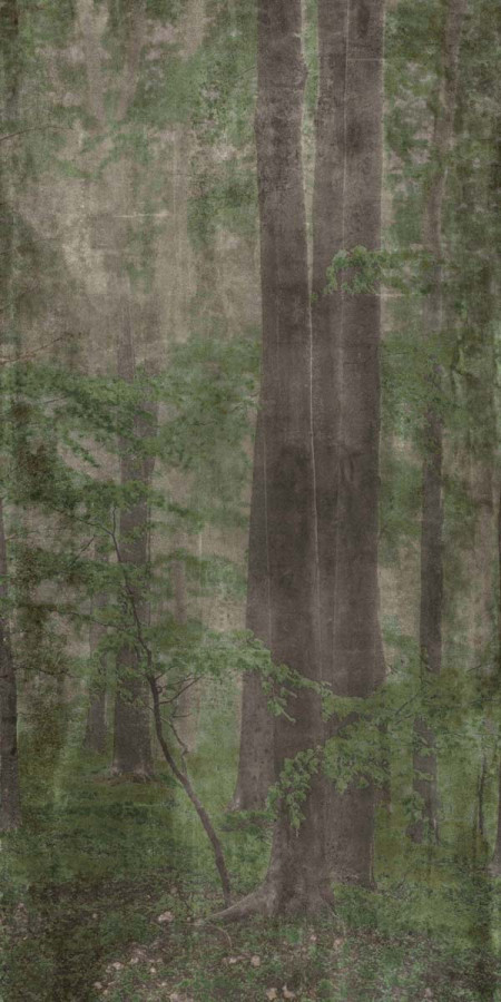 Керамогранит 320x160 W&s D+ Woods C матовая 6мм Abk