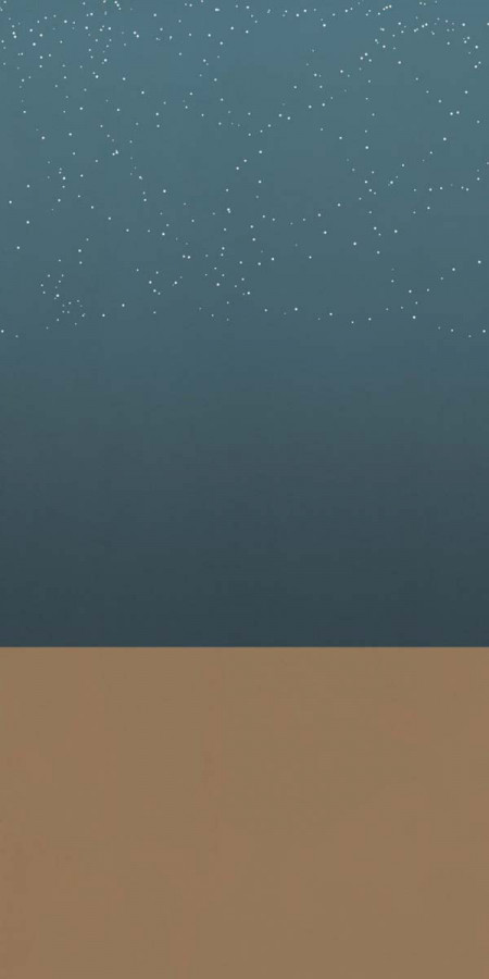 Керамогранит 240x120 W&s D Arizona A матовая 7мм Abk