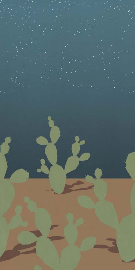 Керамогранит 240x120 W&s D Arizona C матовая 7мм Abk